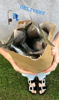 Angela Scanlon feet photo thumbnail