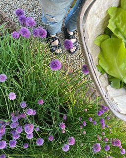 Angela Scanlon feet photo thumbnail