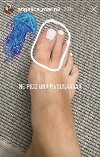 Angelica Marin Nicolas feet photo 6