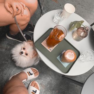 Angelina Danilova feet photo 18