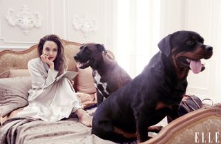 Angelina Jolie feet photo thumbnail