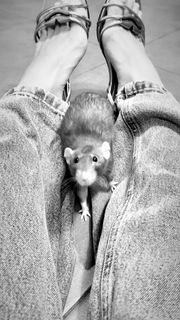 Angelina Strechina feet photo thumbnail