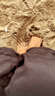 Angelique Boyer feet photo thumbnail