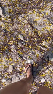 Angie Cepeda feet photo 4