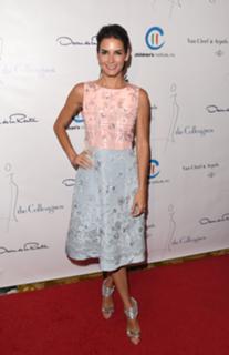 Angie Harmon feet photo thumbnail
