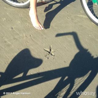 Angie Harmon feet photo thumbnail