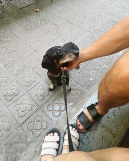 Angy Fernández feet photo 7