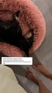 Angy Fernández feet photo 5
