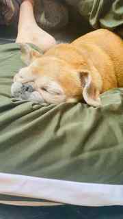 Angèle feet photo thumbnail