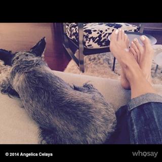 Angélica Celaya feet photo 11