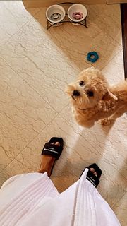 Ani Lorak feet photo thumbnail