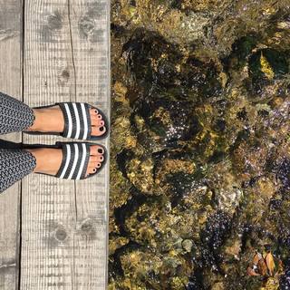 Anita Dujić Broadfoot feet photo 18