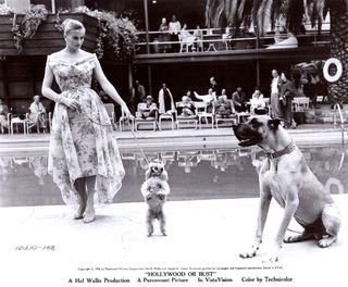 Anita Ekberg feet photo thumbnail