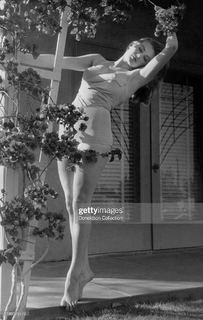 Anita Ekberg feet photo thumbnail