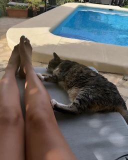 Anita Rani feet photo thumbnail
