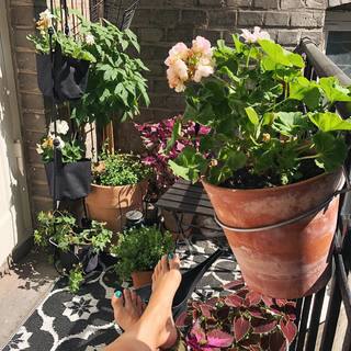 Anita Sarkeesian feet photo 19