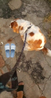 Anitta feet photo thumbnail