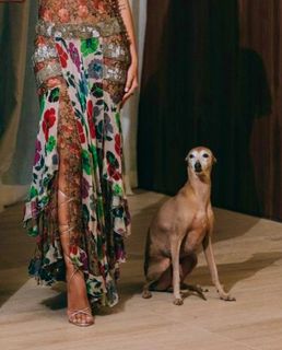 Anitta feet photo thumbnail