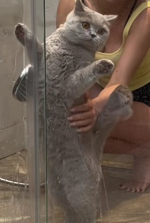 Anja Bla feet photo thumbnail