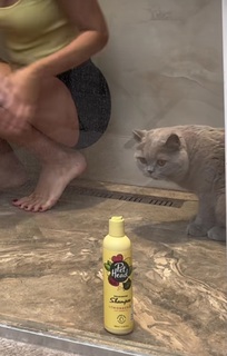 Anja Bla feet photo thumbnail