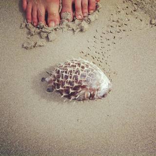 Anja Knauer feet photo 5