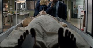 Anja Savcic feet photo 3
