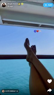 Anjali Arora feet photo 3