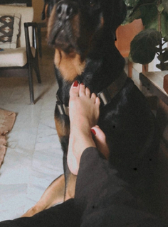 Ann Augustine feet photo 15