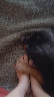 Ann Augustine feet photo 16