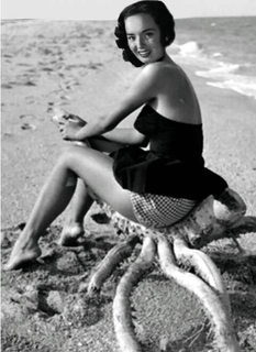 Ann Blyth feet photo 7