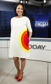 Ann Curry feet photo 11