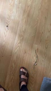 Ann-Kathrin Bendixen feet photo 1
