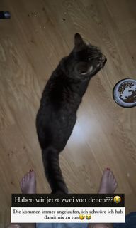 Ann-Kathrin Bendixen feet photo 20