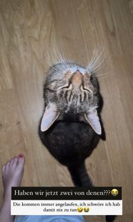 Ann-Kathrin Bendixen feet photo 19