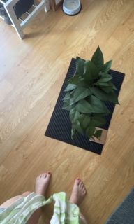 Ann-Kathrin Bendixen feet photo 17