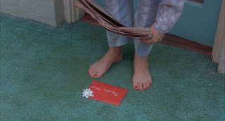 Ann Magnuson feet photo 20