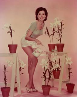 Ann Miller feet photo 16