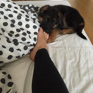 Anna Abreu feet photo 4