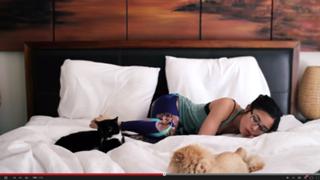 Anna Akana feet photo thumbnail
