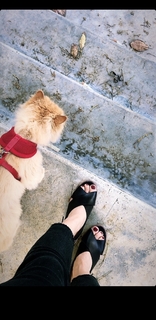 Anna Akana feet photo thumbnail