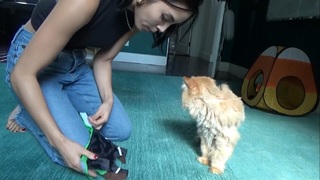 Anna Akana feet photo thumbnail