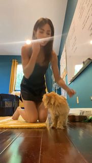 Anna Akana feet photo thumbnail