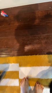 Anna Akana feet photo thumbnail