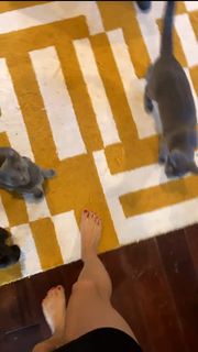 Anna Akana feet photo thumbnail