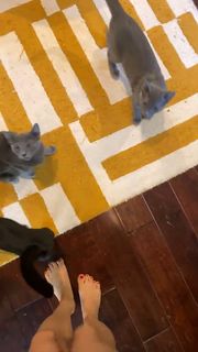 Anna Akana feet photo thumbnail