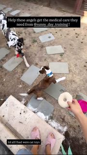 Anna Akana feet photo thumbnail