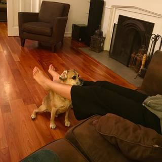 Anna Camp feet photo thumbnail