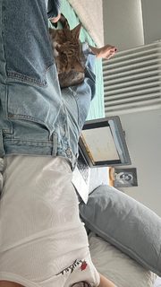 Anna Castillo feet photo 5