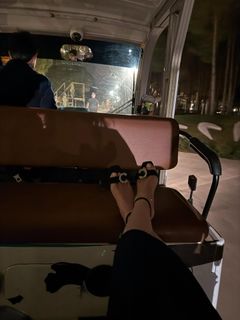 Anna Chipovskaya feet photo 10