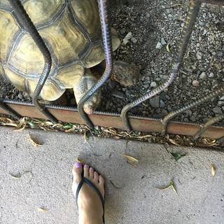 Anna David feet photo 5